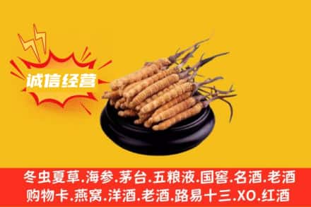 三明回收冬虫夏草